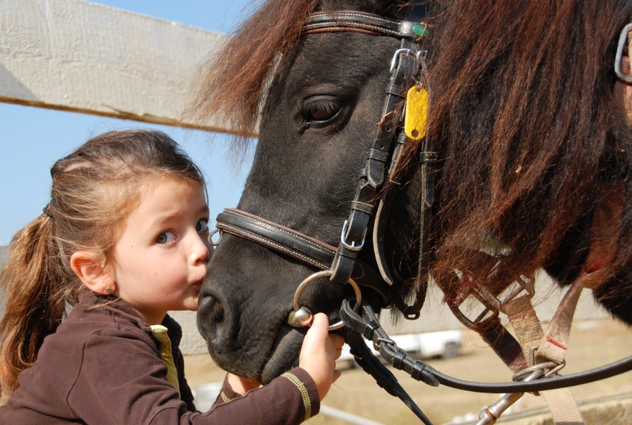 Welches My Little Pony Passt Zu Mir